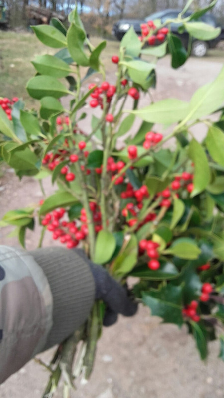 46A28BF9-8173-490A-88F3-58487FD437CA