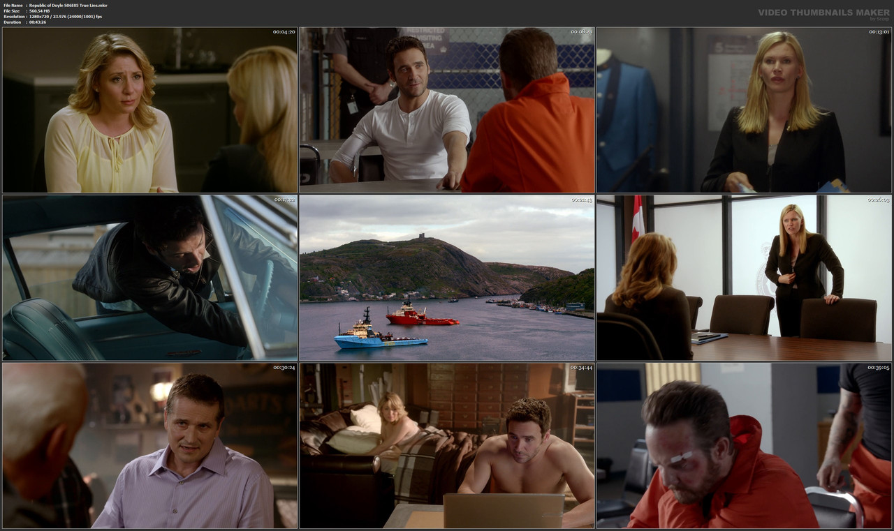 Republic of Doyle S06E05 True Lies.mkv
