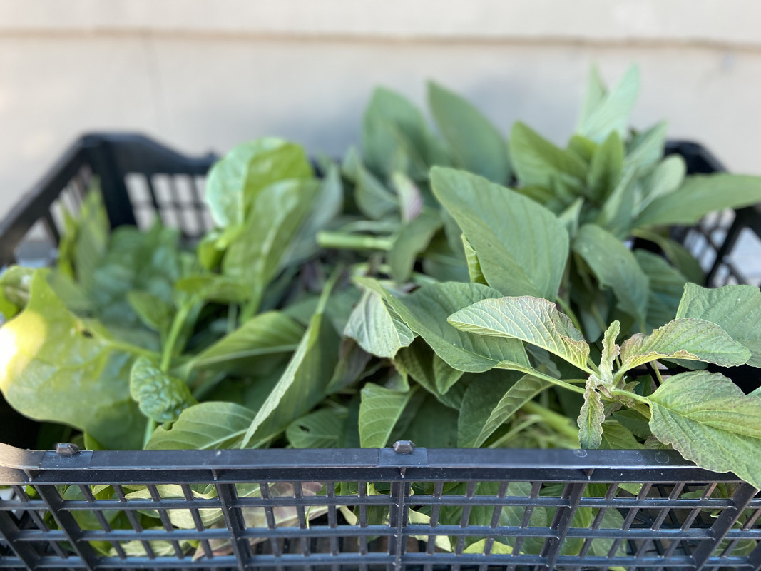 46DFB857-9B90-4081-9783-7A14B5E6B9A6