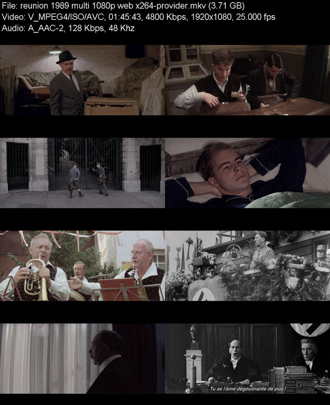 reunion-1989-multi-1080p-web-x264-provid