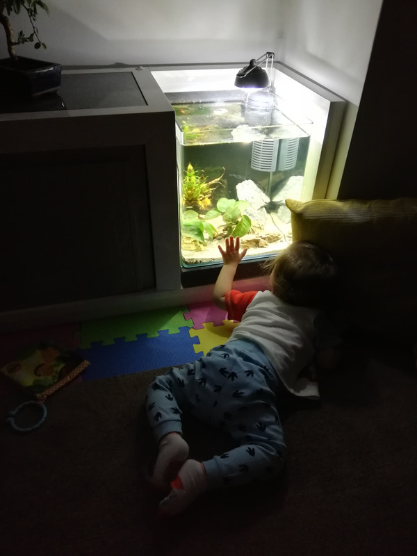 IMG-20190825-204544.jpg