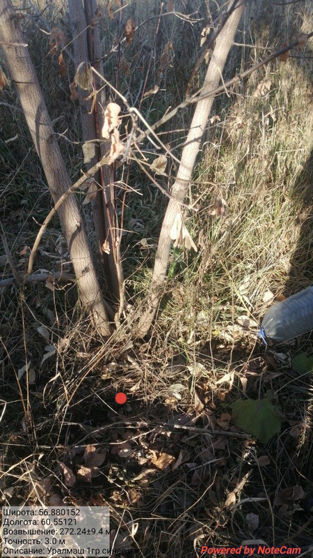 IMG_20251022_154518_029