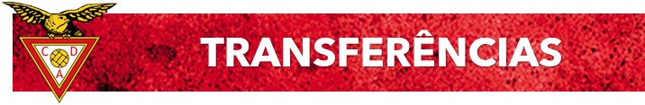 Transfer.jpg