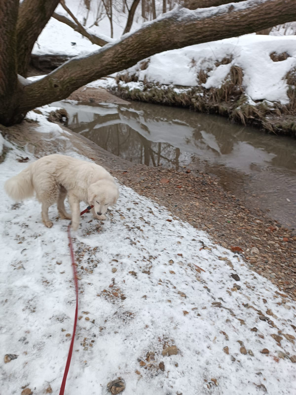 B5477088-83AA-4EA4-9DD9-0D6B5DE3945D