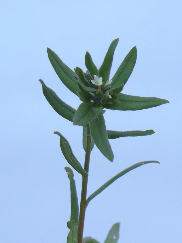 P1120111-0... (1024)