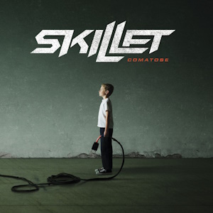 Re: Skillet