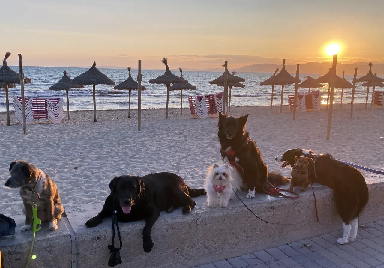 Familia Perruna