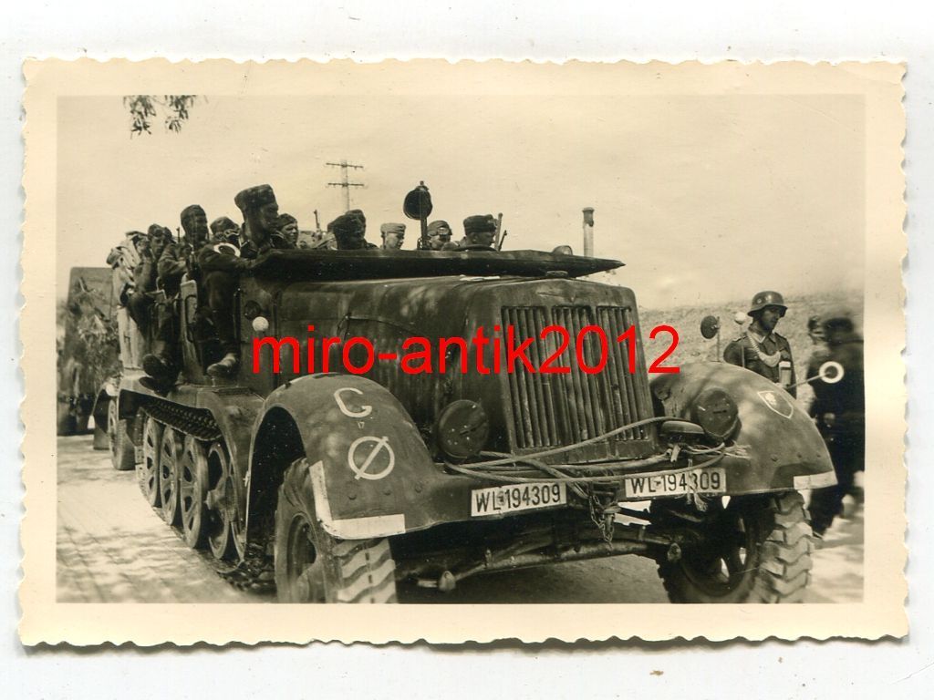 Foto, Luftwaffe, Ringkragenträger, Sdkfz, Nahauf