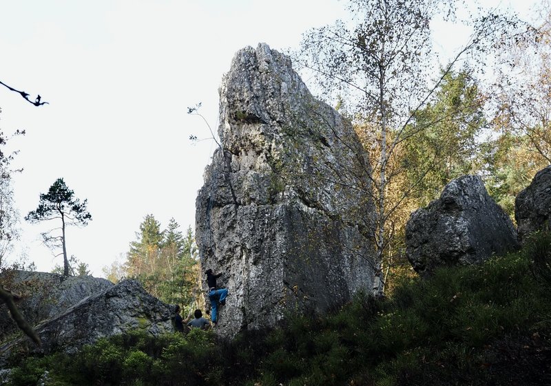 PA290850.jpg