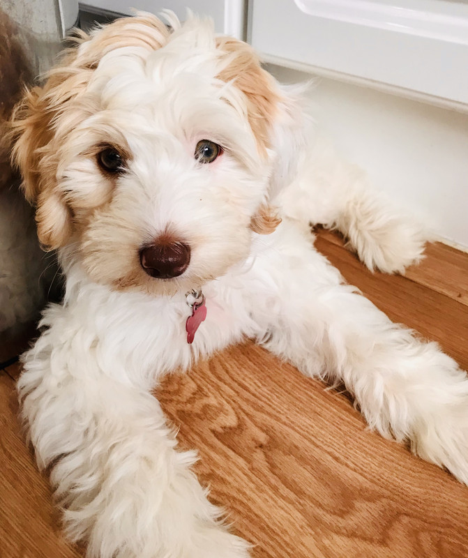 A0678DC7-EF4F-43C1-A8F1-414BAFE78238