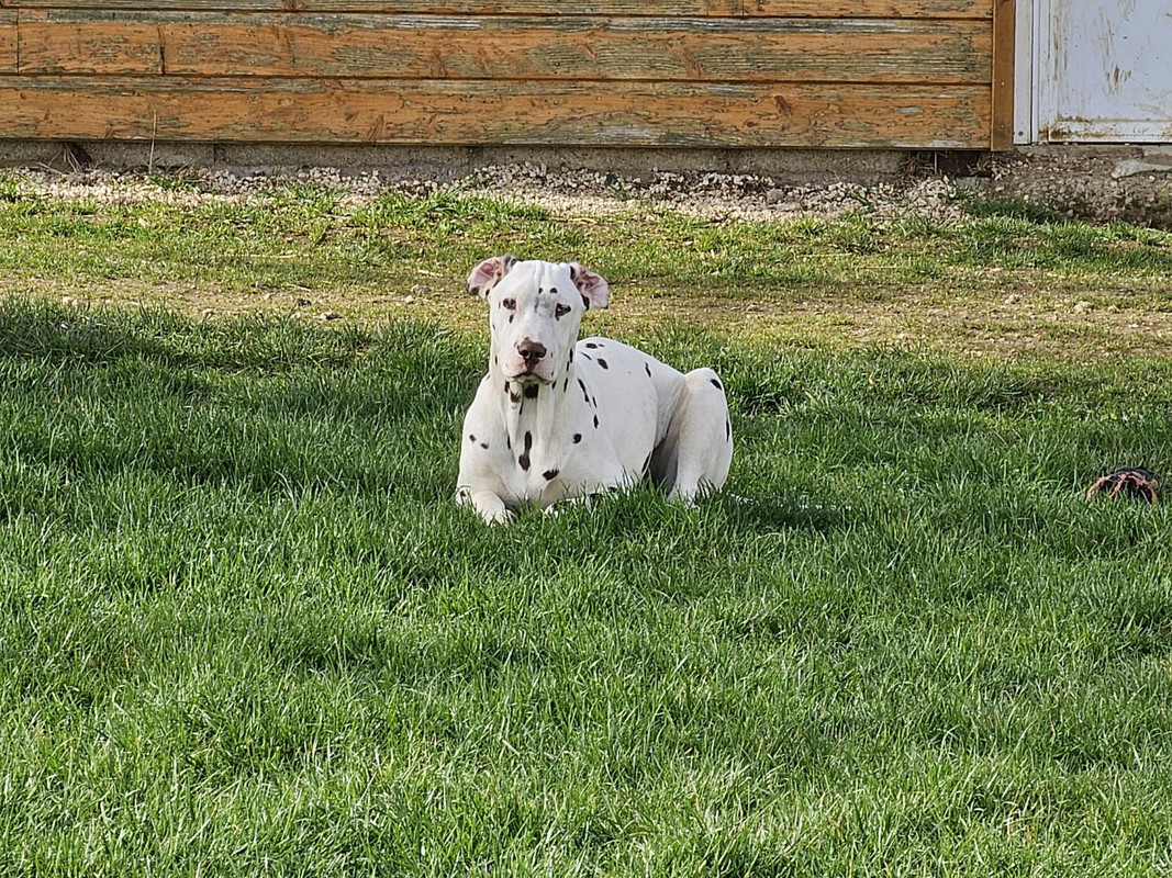 Resized 20230320 100047 — Postimages