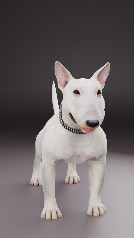 Bull Terrier