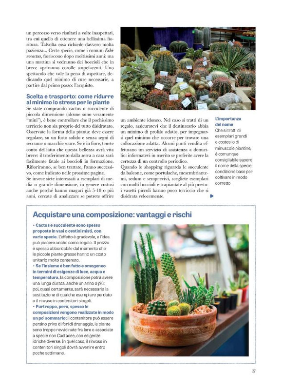 Pol Ver Spec Giu-Lug 2024 (2)