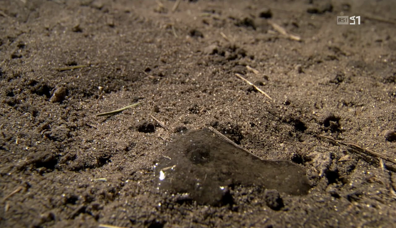 vlcsnap-2017-02-13-17h54m51s010