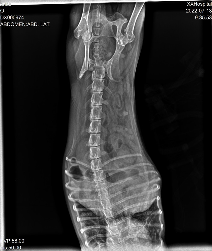 DX000974_2