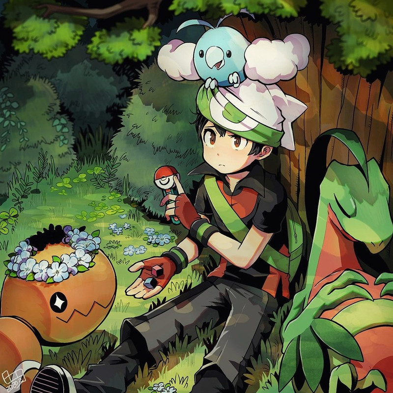 brendan-swablu-trapinch-and-grovyle-poke