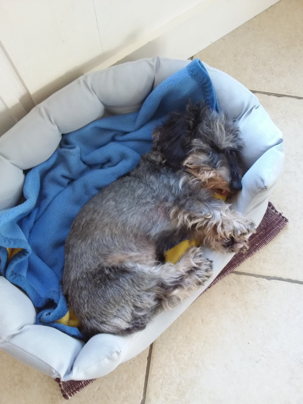 [Image: 20230925-162049.jpg]