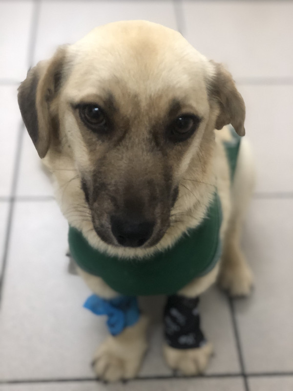 2B7FA5B5-0F02-4CF7-A050-51281D3D1754