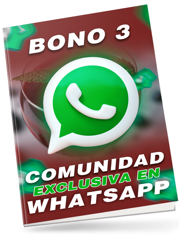 Bono 3