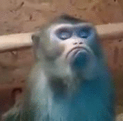 mood1.gif