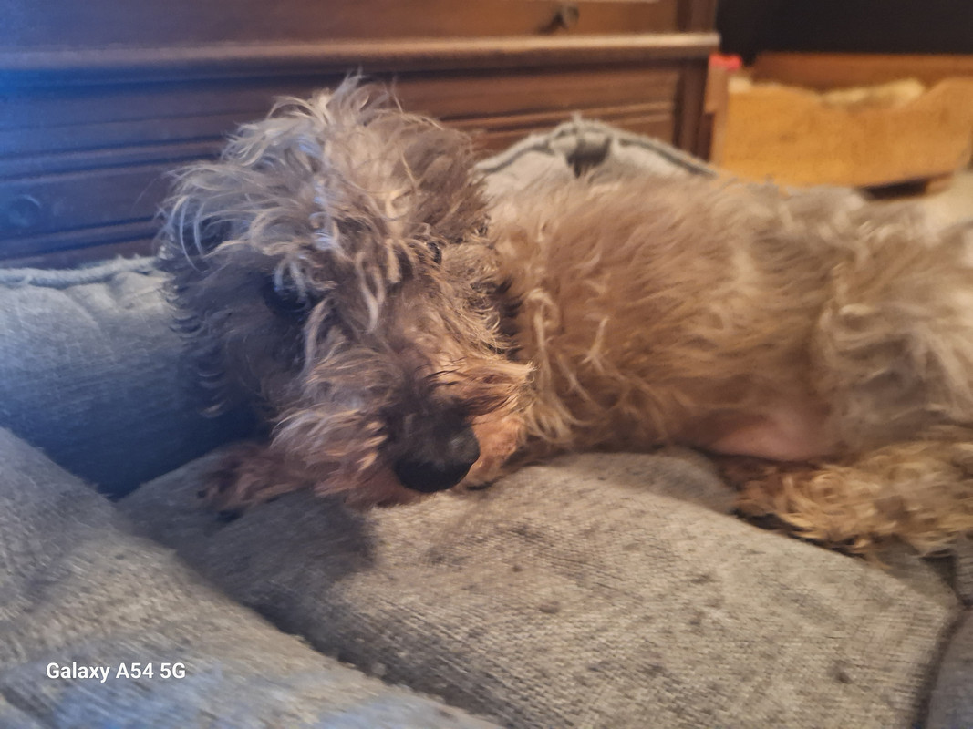 [Image: 20240720-200549.jpg]