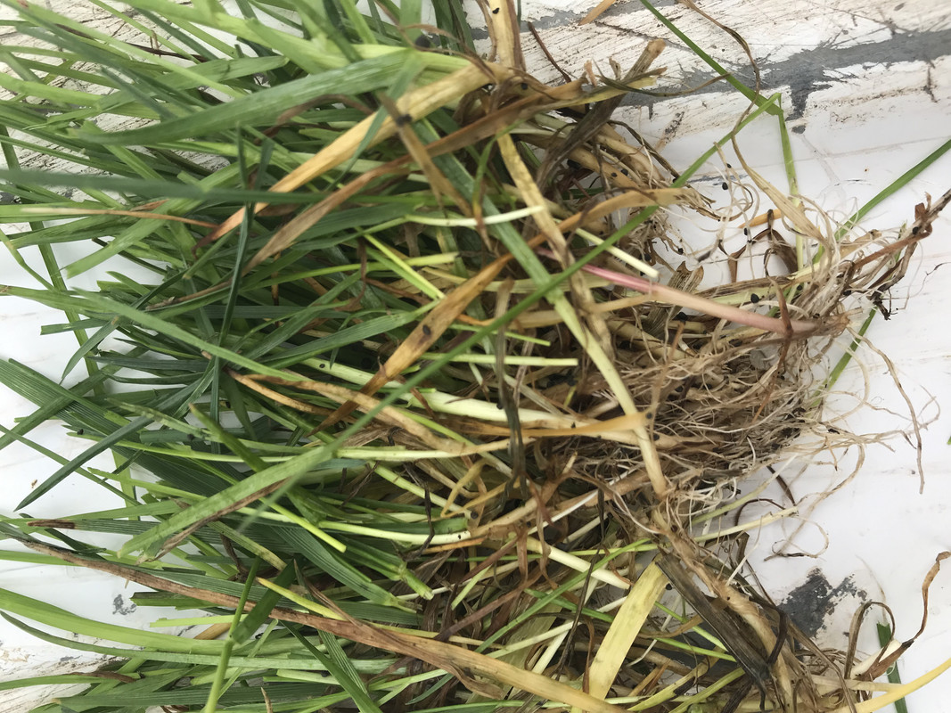 6DC826E6-BAB8-4C87-9756-DE63303FB8BC