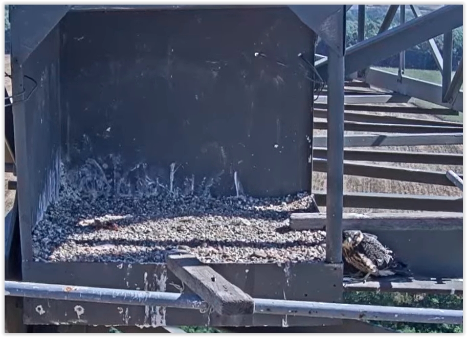 Screen Shot 08-10-22 at 09.55 AM