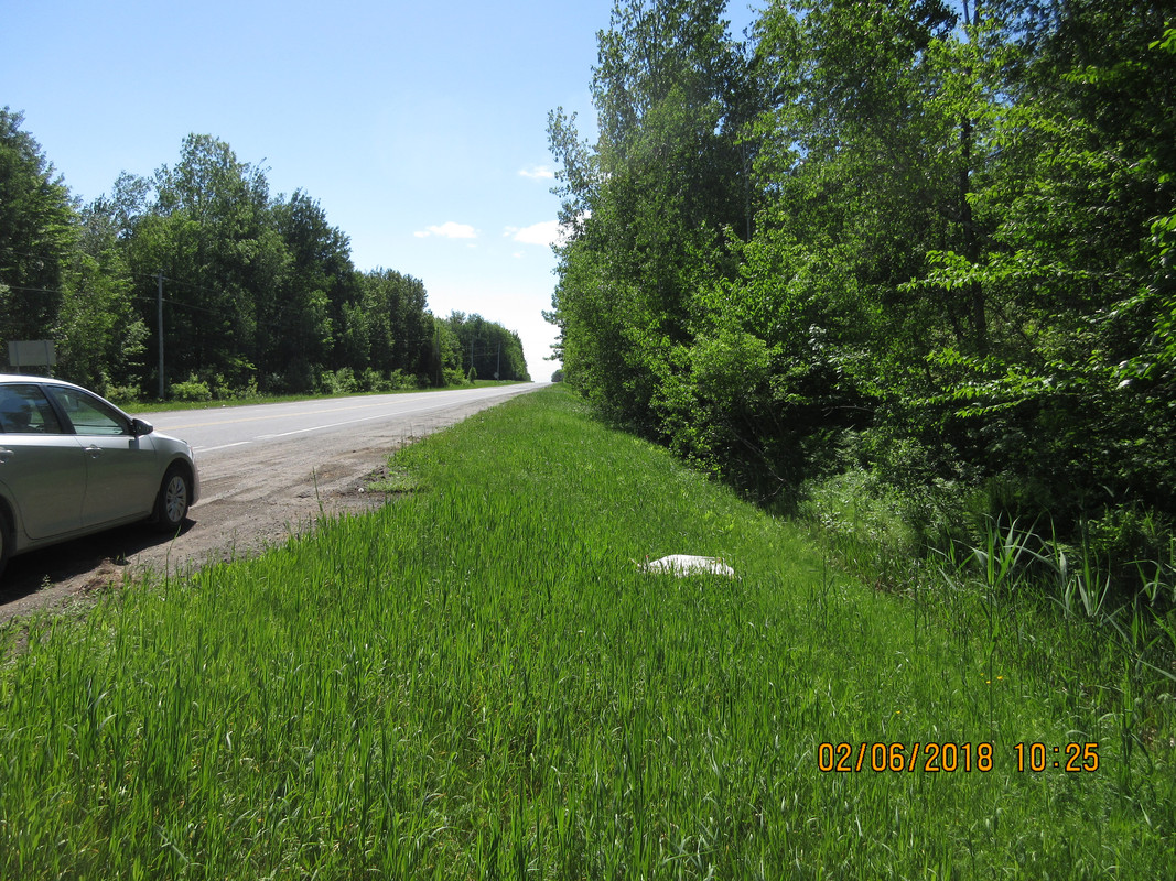 2018BH-Fauchage et SALIX