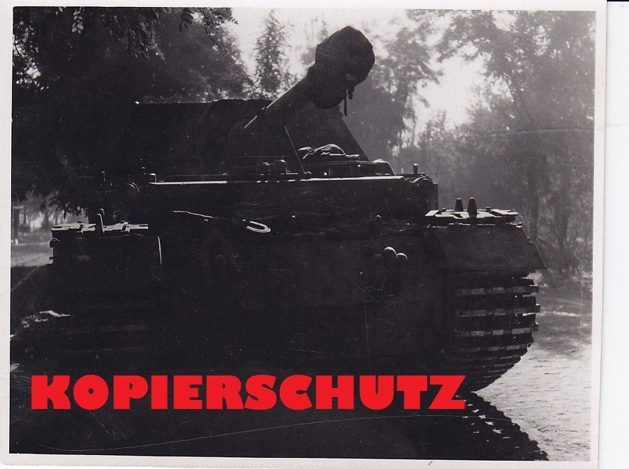 schwerer Panzerjäger Tiger (P) Ferdinand Elefant