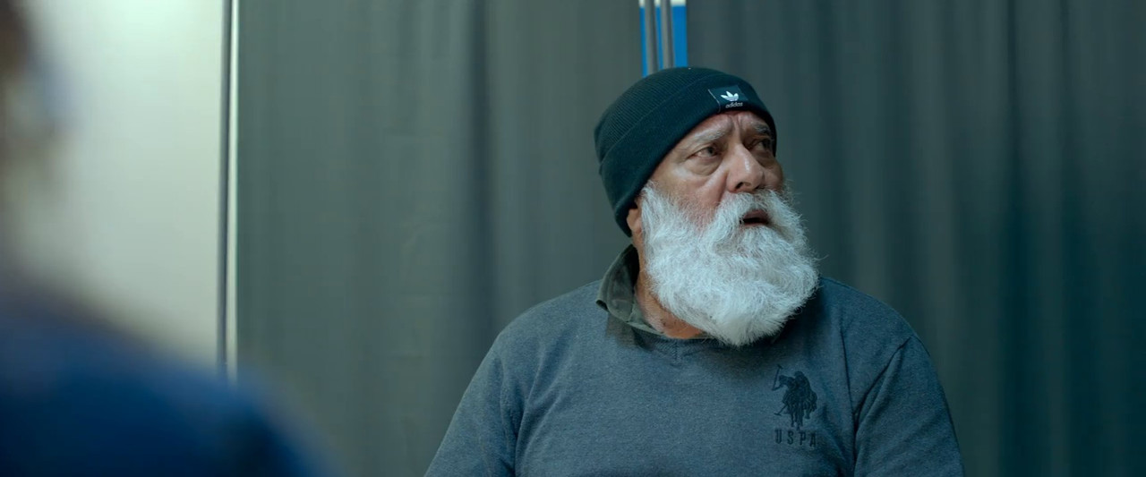 Ucha Dar Babe Nanak Da 2024 WebRip [Punjabi] 480p, 720p ESub Screenshot