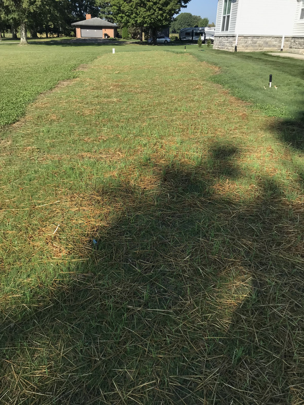 6A9825D8-F294-4F5A-A12F-8FA078353CD4