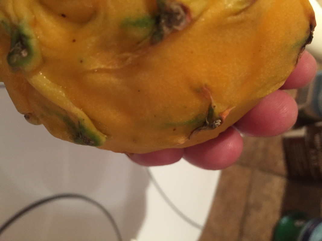 67A19DB6-8DFC-4881-A291-F30C89ECE008