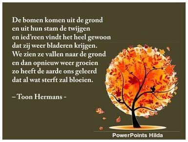 De-bomen-komen-uit-de-grond