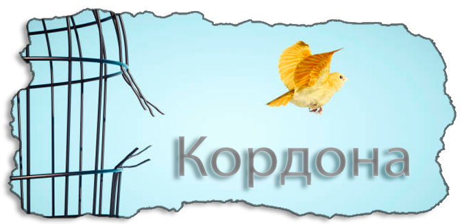 https://i.postimg.cc/J7c40sp6/pngegg.png