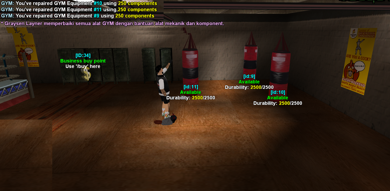 samp-22-02-2025-21-09-36.png