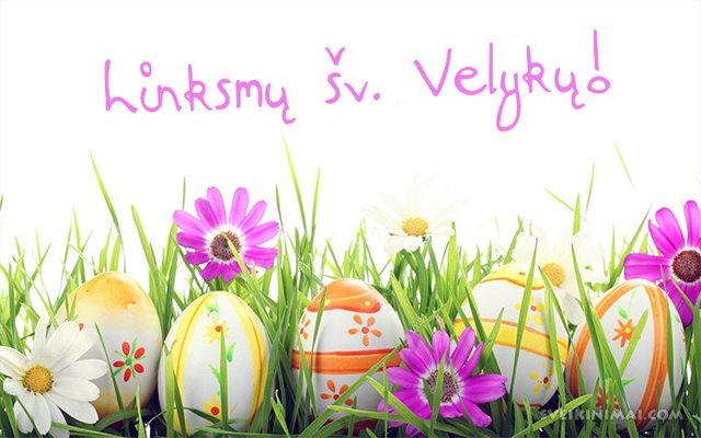 vartotojo kelta nuotrauka