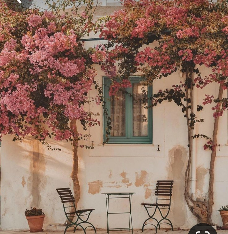 Screenshot_20240405_200625_Pinterest