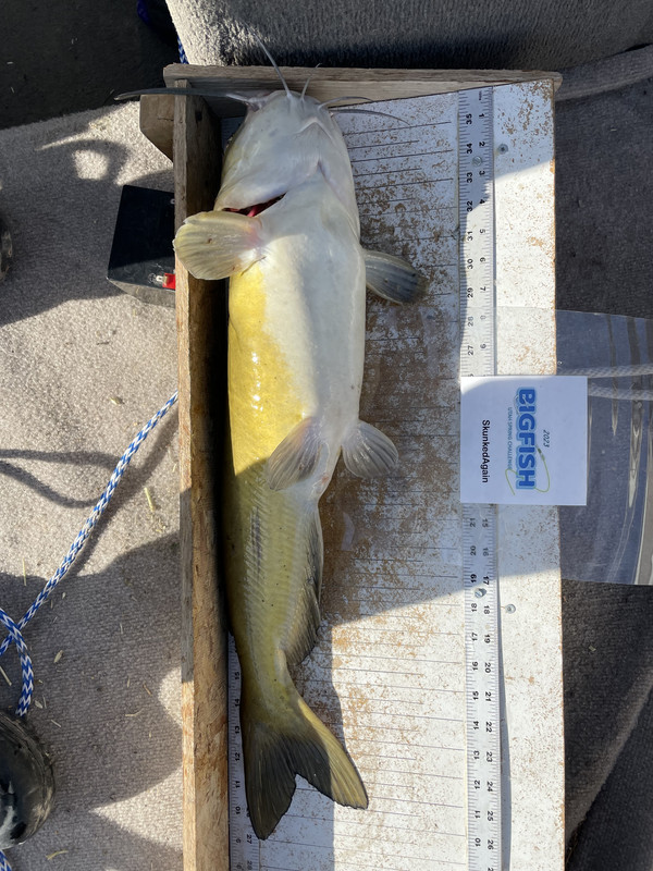 B3507FA0-6B9F-4575-A741-DE2C7EBDA4EE