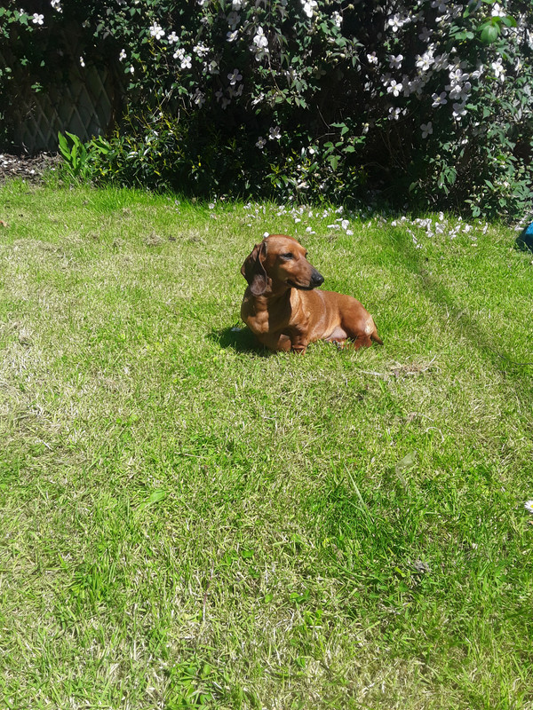 [Image: 20240507-140621.jpg]