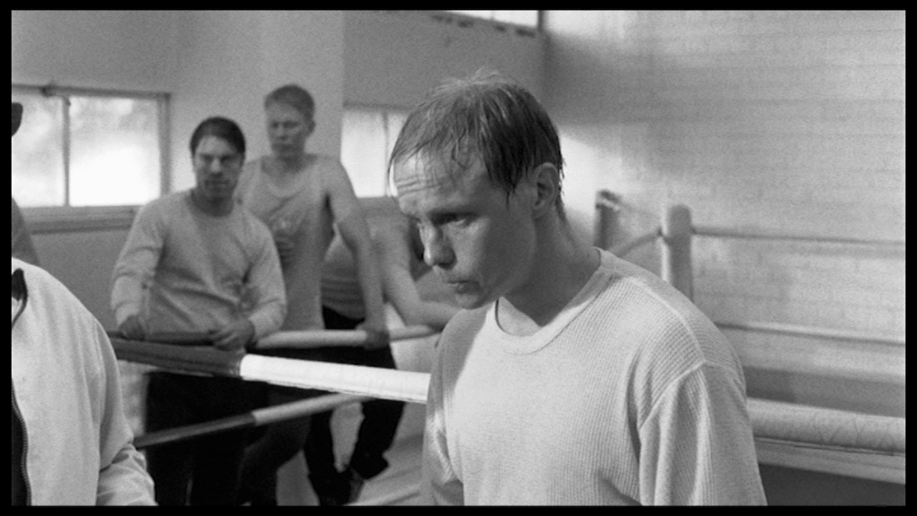 vlcsnap-2018-10-08-09h32m13s431