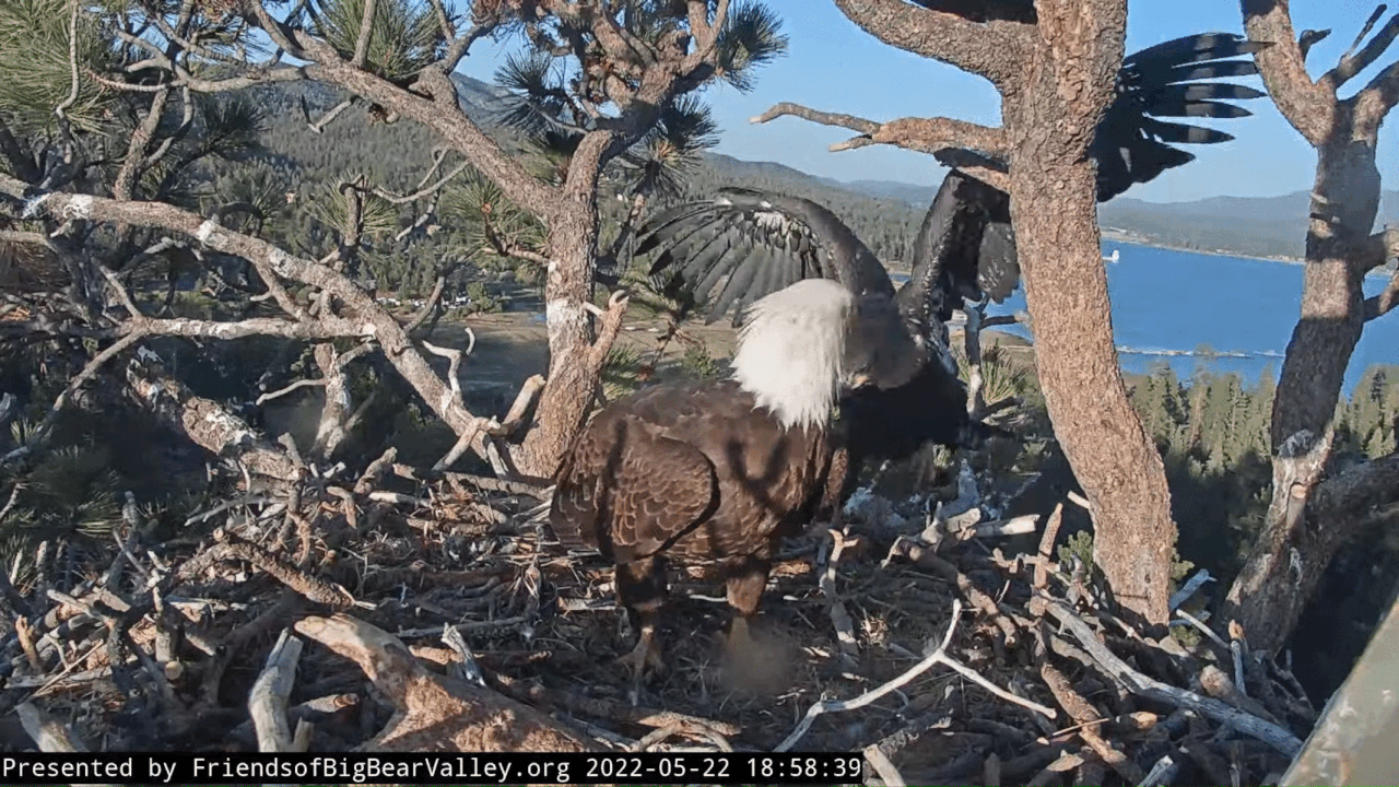 Webp.net-gifmaker (2)