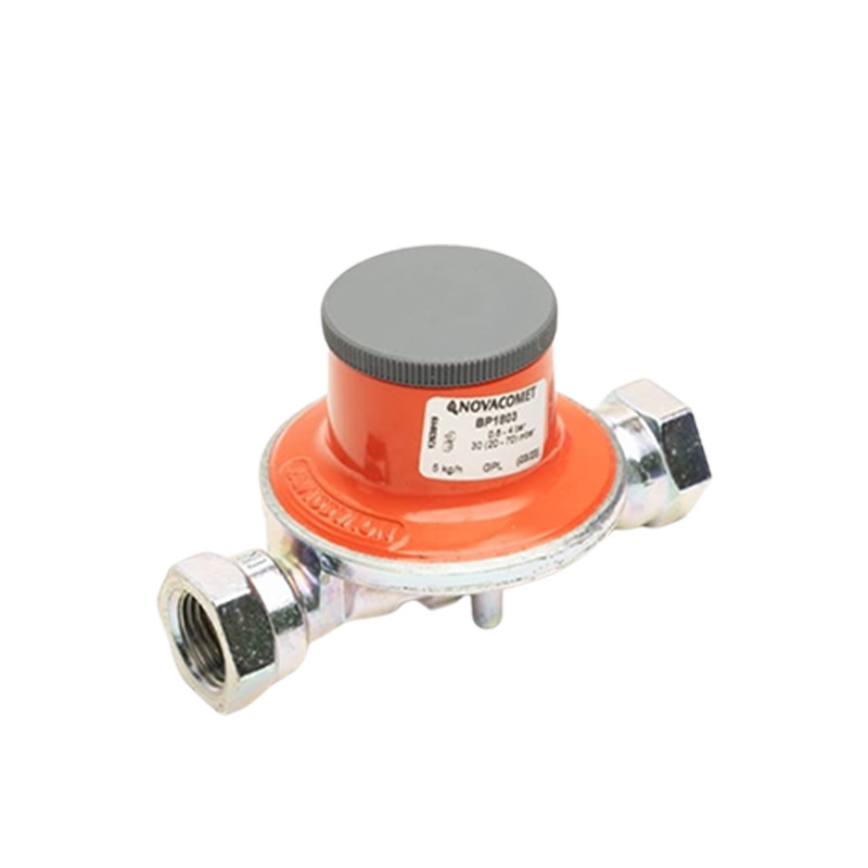 Gas Regulator