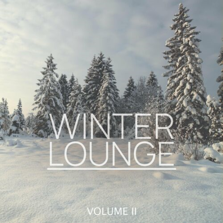 VA - Winter Lounge Vol.2 (Calm And Relaxing Tracks For The Cozy Time Of The Year) (2022)
