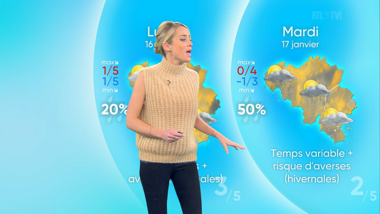 Météo 2023_01_12_12_30_00.ts_snapshot_17.34.095