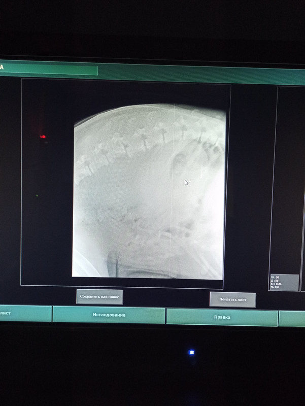 E76A7F72-1310-4241-B9E0-E7D98AF1EF72