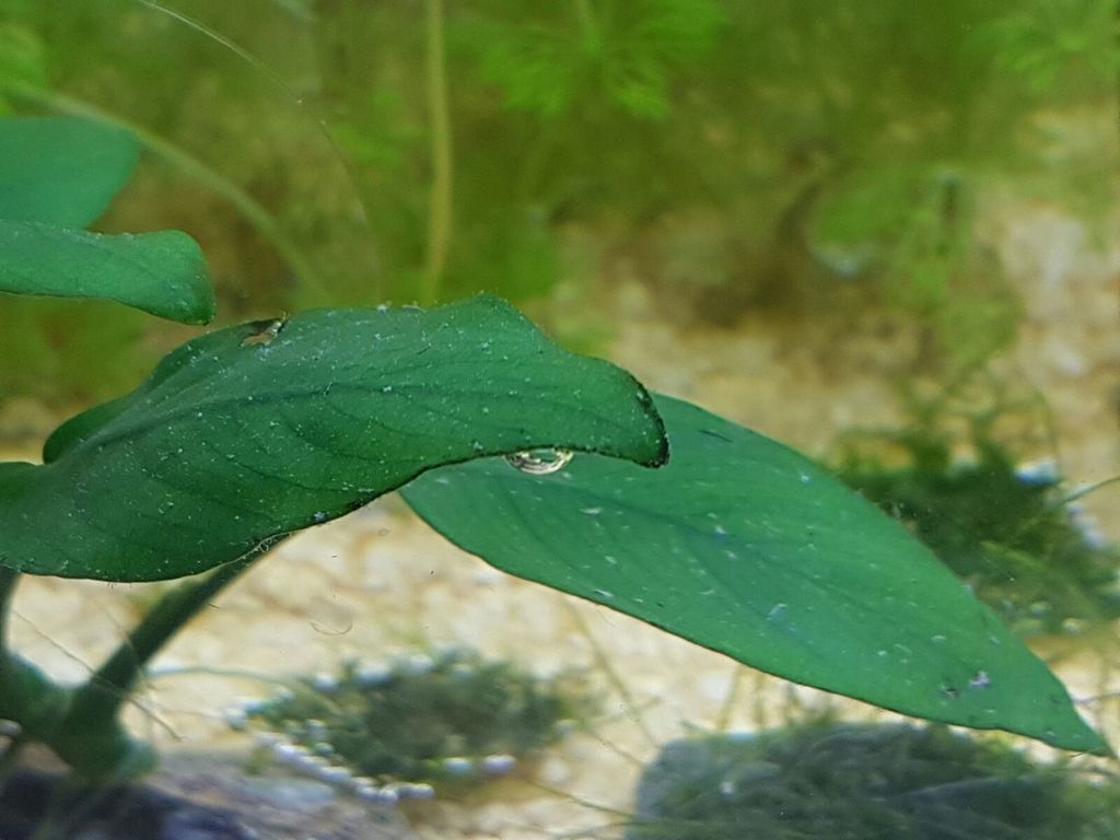 WhatsApp Image 2016-09-28 at 16.06.35 (2)