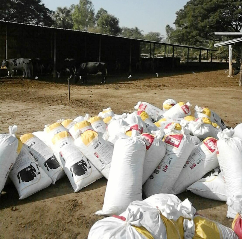 ขี้วัว_๒๐๐๙๒๕_4