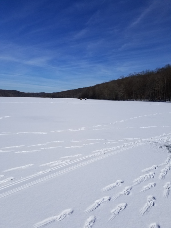 20190219_131857