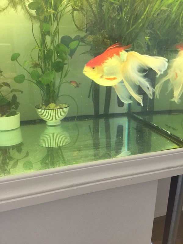 2717E5CB-A420-432B-8418-D06CEB82B122