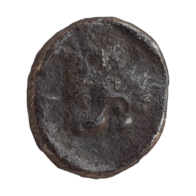 Photoroom-20240614_223538_17